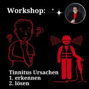 Workshop Tinnitus